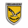 II brigada