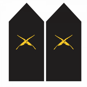 Palas de Escribiente Flexible – Armada de Chile