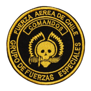 Grupo de Fuerzas especiales, comandos